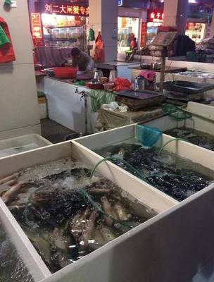 洧水农贸市场改造 6000㎡长条形老市场焕新，马卡龙色定制摊位让水产品区惊艳亮相